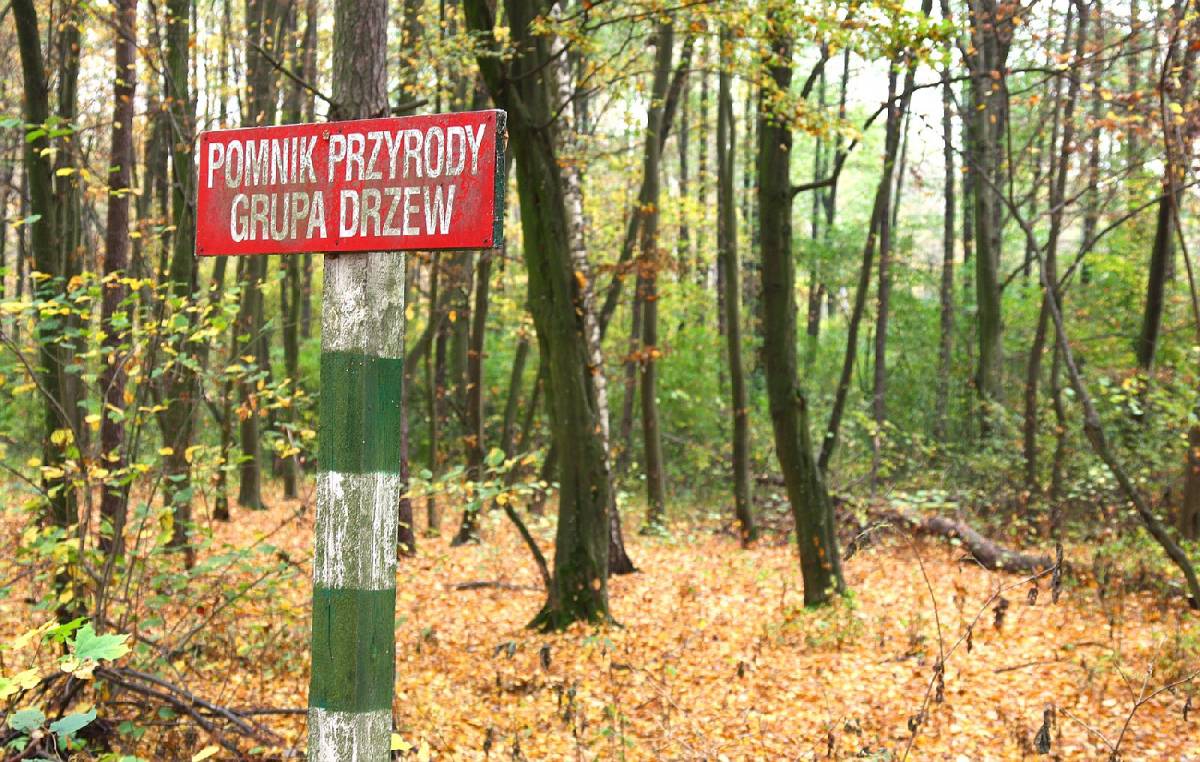 Rezerwat „Wielgolas” Szlaki turystyczne Mazowsza